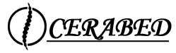 footer-logo